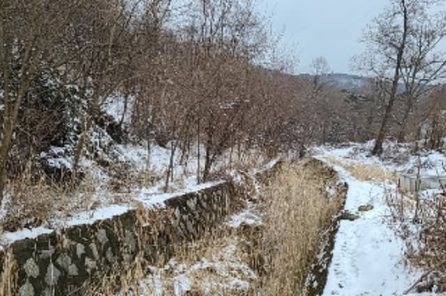 B000240202301300170881.jpg
