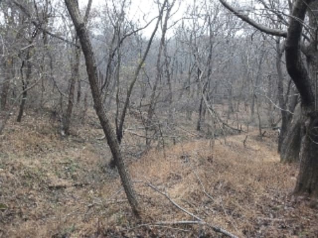 B000240202301305420894.jpg