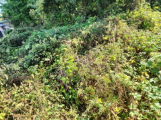 B000240202401300132053.jpg