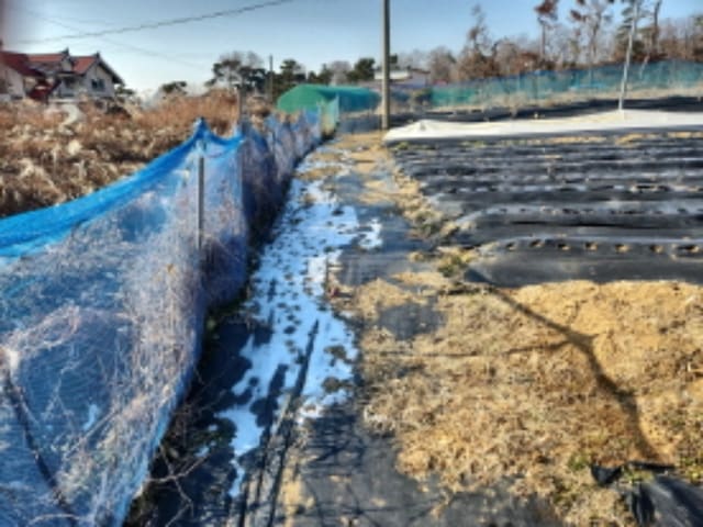 B000240202401300164333.jpg