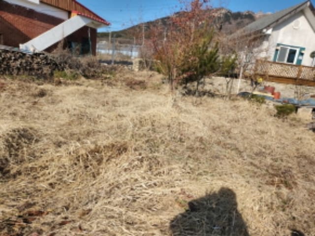 B000240202401300164331.jpg