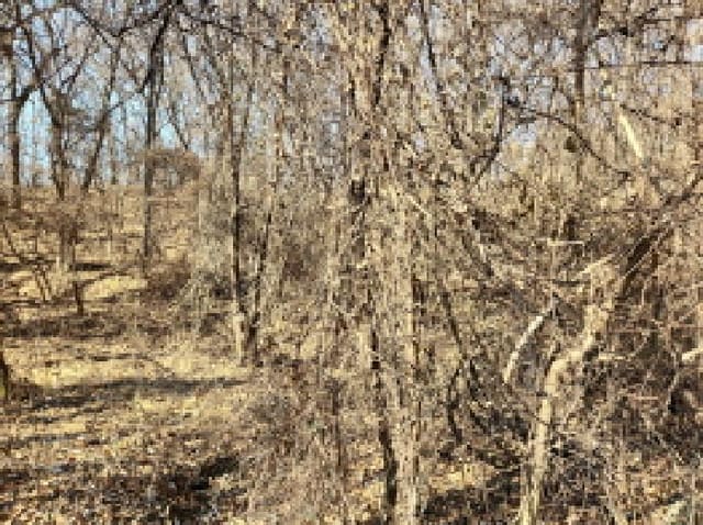 B000240202401300169074.jpg