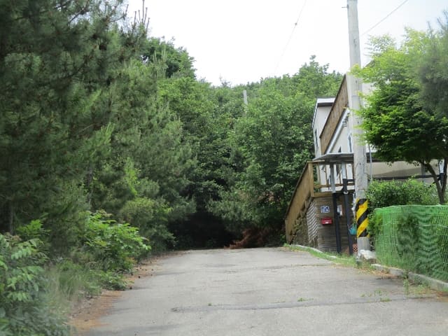 B000240202401305337094.jpg