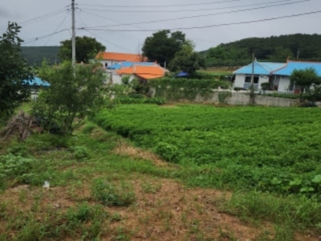 B000240202401305440371.jpg