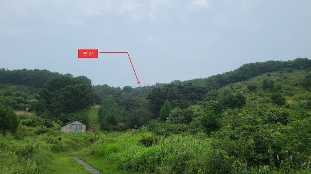 B000240202401305493774.jpg