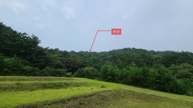 B000240202401305493772.jpg