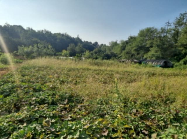 B000240202401305520213.jpg