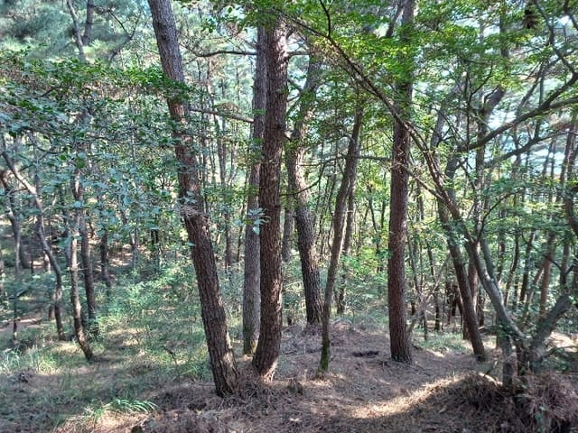 B000240202401305659803.jpg
