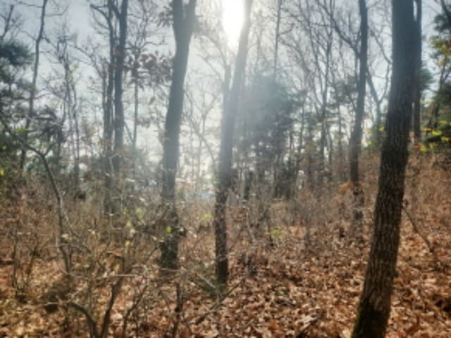 B000240202401305663344.jpg