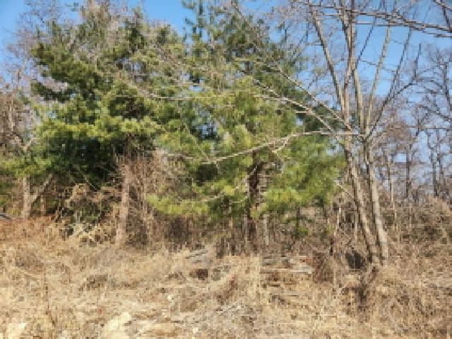 B000240202501300007251.jpg