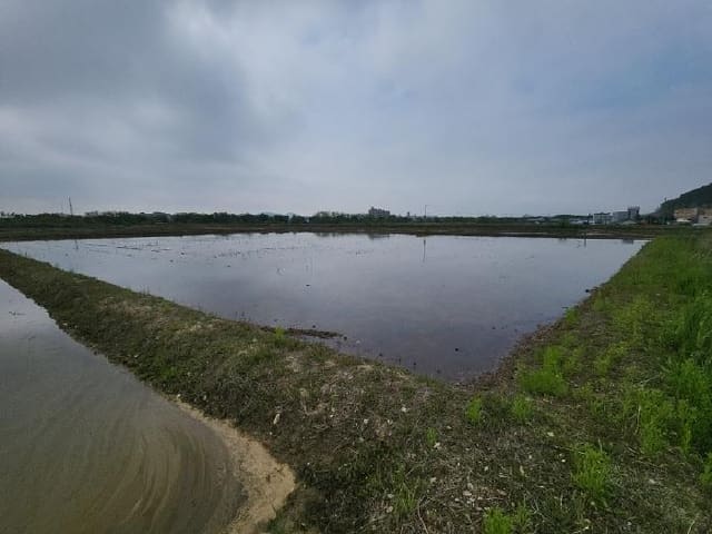 B000240202501300008162.jpg