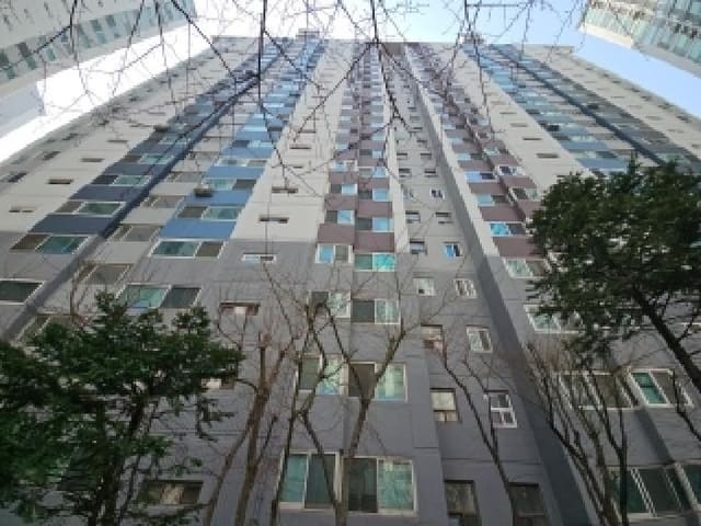 B000240202501300008381.jpg