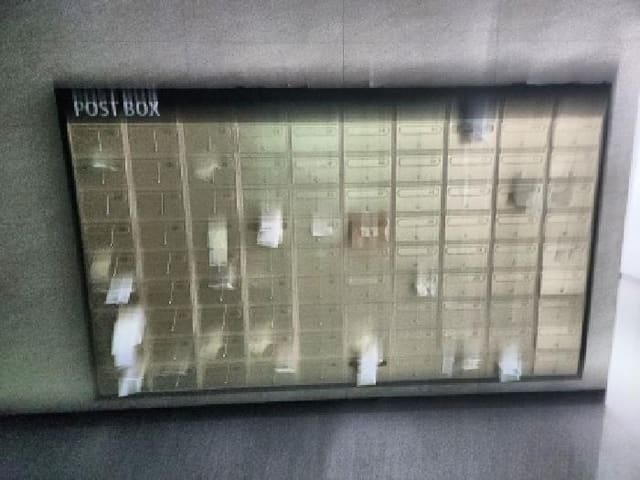 B000240202501300012234.jpg