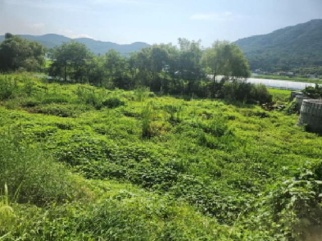 B000240202501300012562.jpg