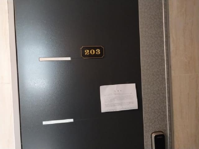 B000240202501300012684.jpg