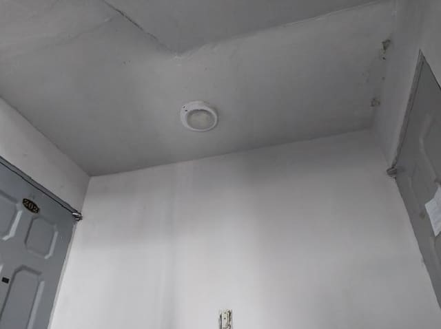 B000240202501300013584.jpg