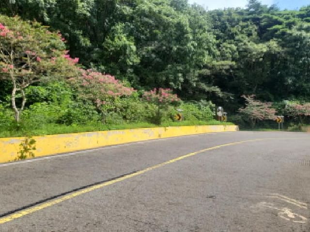 B000240202501300013803.jpg