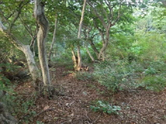 B000240202501300013832.jpg
