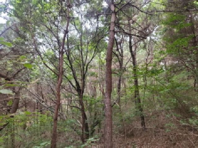 B000240202501300013831.jpg