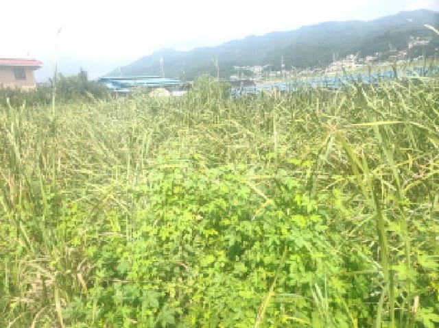 B000240202501300013893.jpg