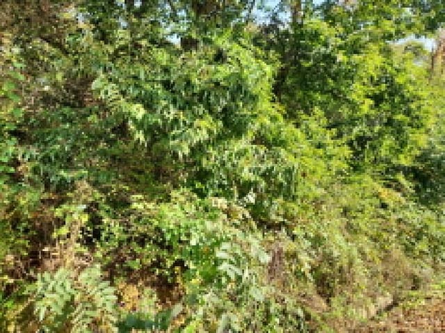 B000240202501300016003.jpg