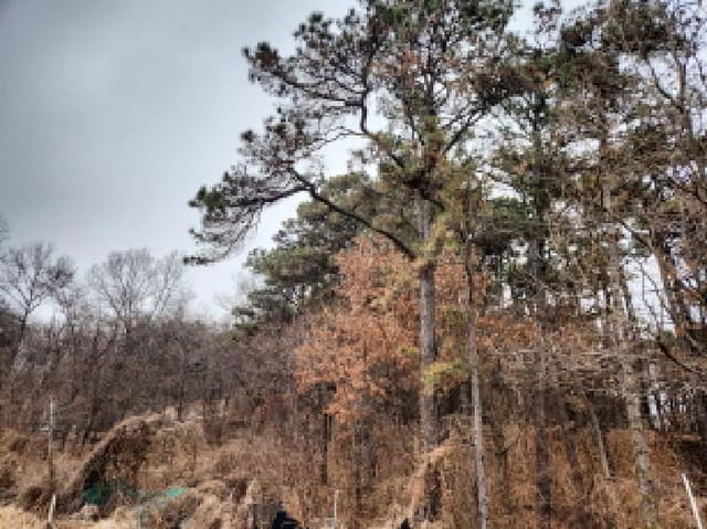 B000240202501305003314.jpg