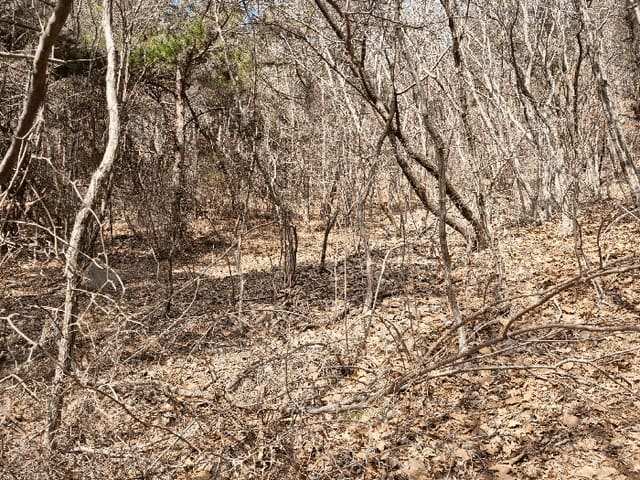 B000240202501305073334.jpg