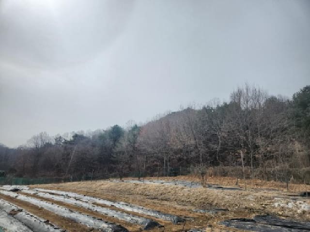 B000240202501305079361.jpg