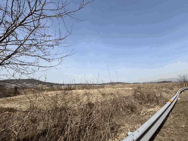 B000240202501305081834.jpg