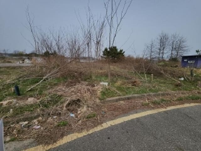 B000240202501305083572.jpg