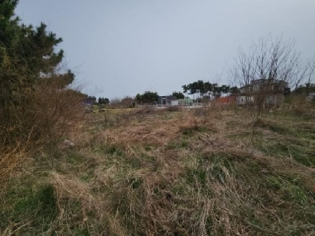 B000240202501305083573.jpg