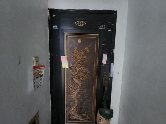 B000240202501305084573.jpg