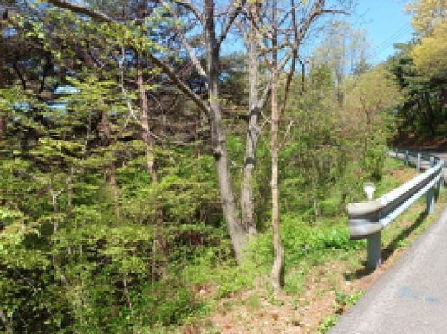 B000240202501305087111.jpg