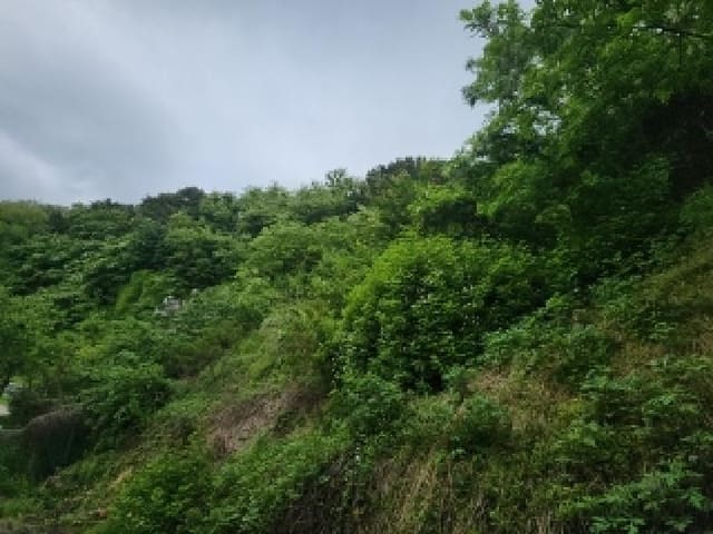 B000240202501305089683.jpg