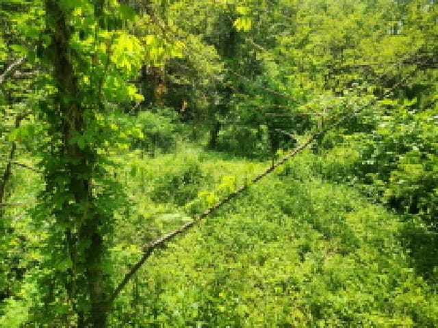 B000240202501305090161.jpg