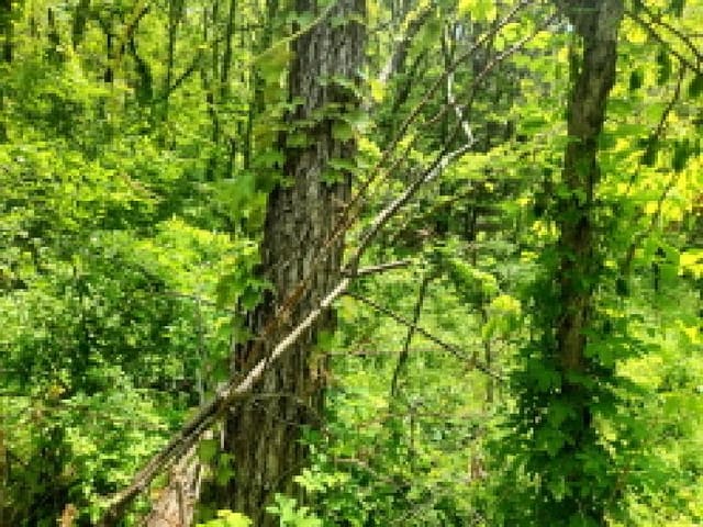 B000240202501305090162.jpg