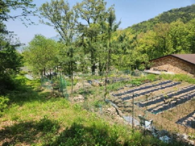 B000240202501305090164.jpg