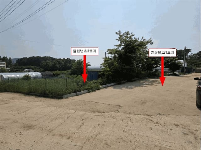 B000240202501305092274.jpg