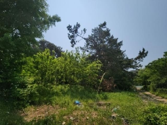 B000240202501305092742.jpg