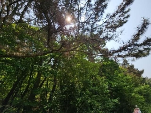 B000240202501305092743.jpg