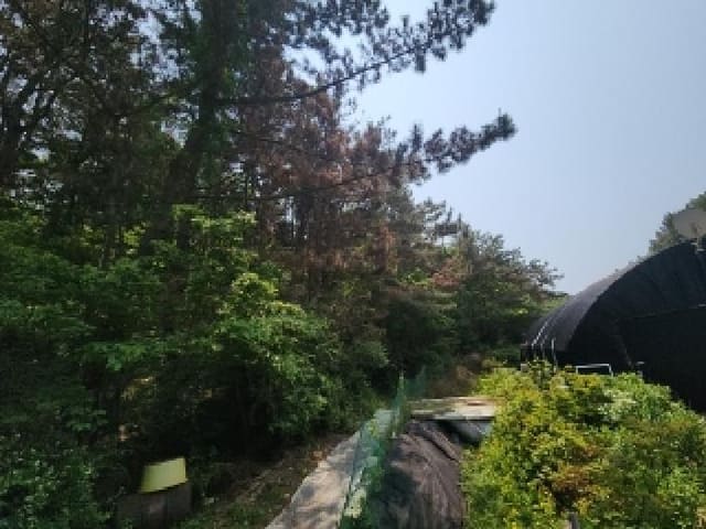 B000240202501305092901.jpg