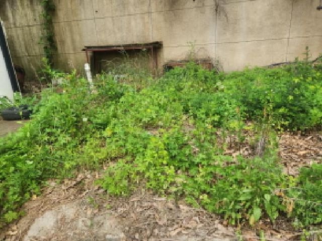B000240202501305093024.jpg