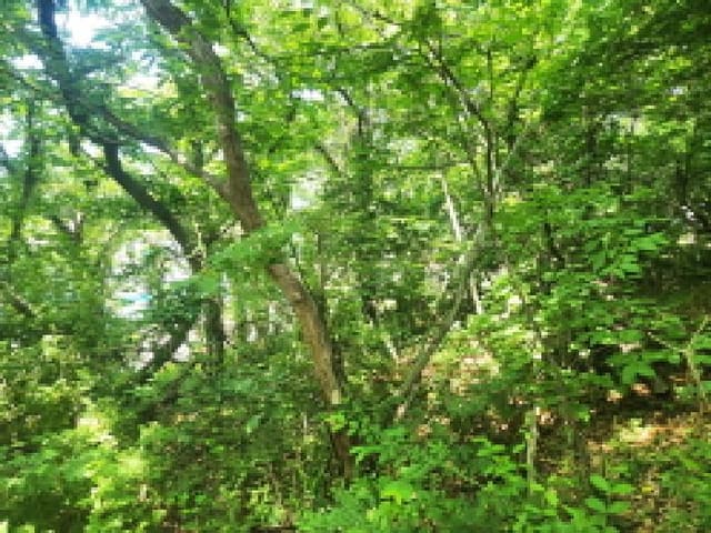 B000240202501305094882.jpg