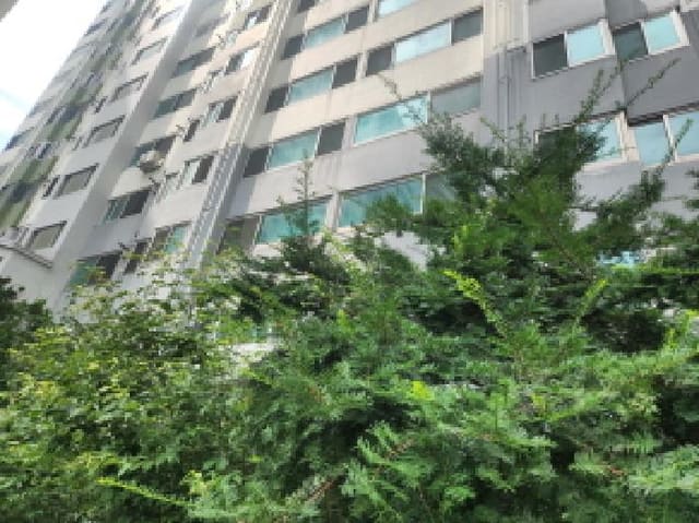 B000240202501305105791.jpg