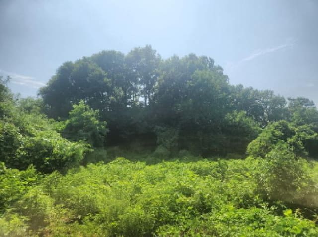 B000240202501305109251.jpg