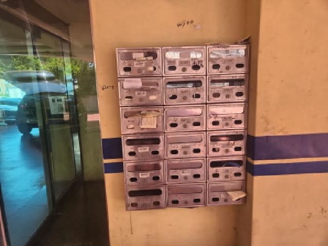 B000240202501305111284.jpg