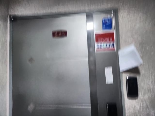 B000240202501305112733.jpg