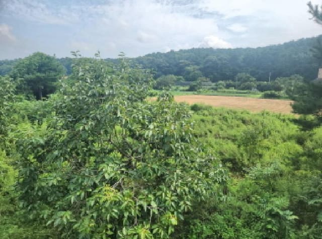 B000240202501305114911.jpg