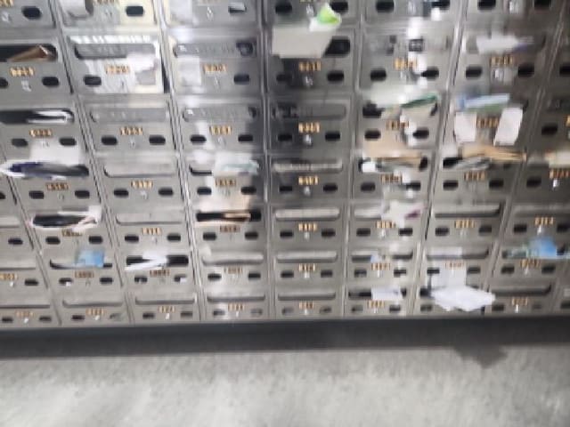 B000240202501305115134.jpg