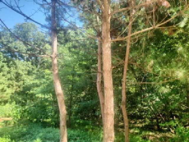 B000240202501305116733.jpg